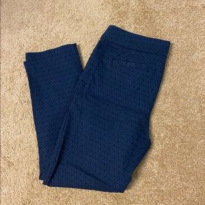 Briggs Women’s Dress Pants (Petite)